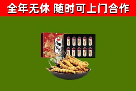枣庄市回收冬虫夏草价格