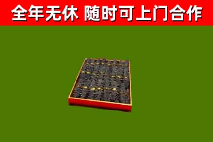 枣庄市回收海参
